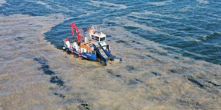MARMARA’DA MÜSİLAJ ARITMASININ MALİYETİ 1 MİLYAR DOLAR