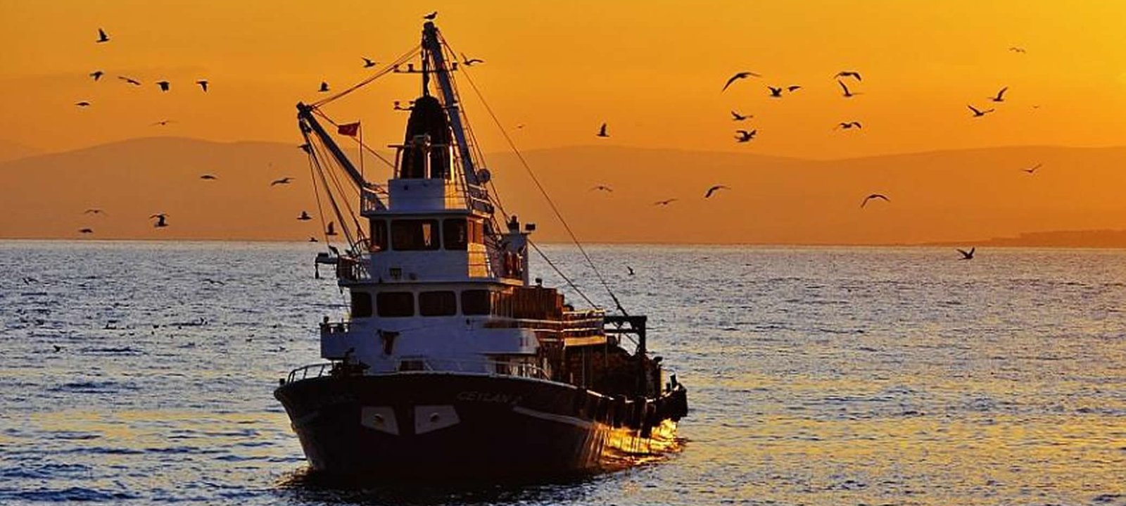 26 METRE BOYUNDAKİ BALIKÇI GEMİSİ SATIŞA ÇIKTI
