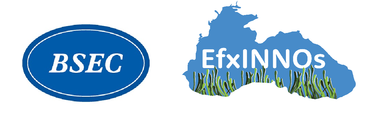 EfxINNOs Çalıştayı İstanbul’da düzenleniyor
