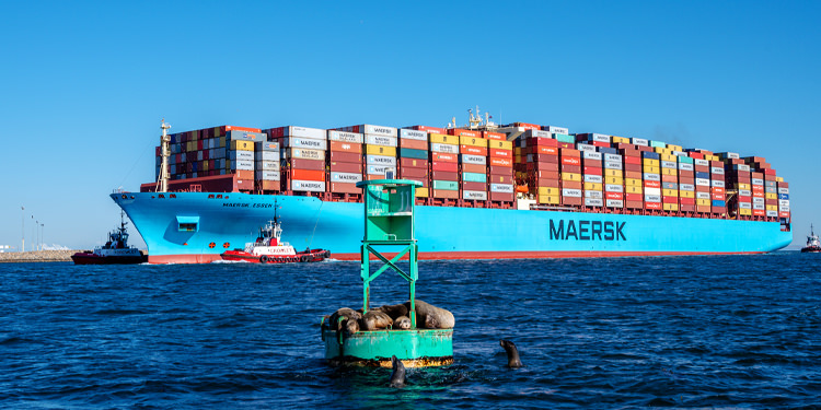 MAERSK ESSEN GEMİSİ FIRTINADA 750 KONTEYNER KAYBETTİ – Neta Haber