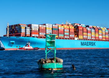 MAERSK, RUSYA REZERVASYONLARINI ASKIYA ALDI 3 MAERSK, RUSYA REZERVASYONLARINI ASKIYA ALDI