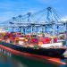MSC TÜRK BAYRAKLI FİLOYU BÜYÜTÜYOR 11 MSC TÜRK BAYRAKLI FİLOYU BÜYÜTÜYOR