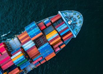 NAVLUNDA DÜŞÜŞ YÜZDE 85 SEVİYELERİNE ULAŞTI